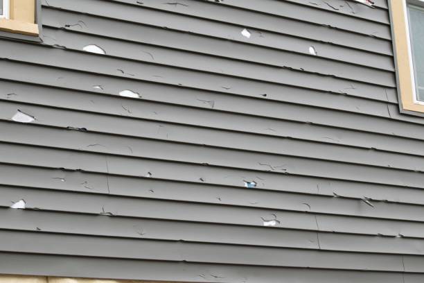 Best Yard Waste Removal  in Molalla, OR